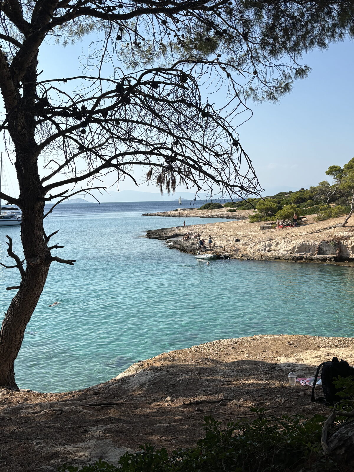 A bare tree over the turquoise cove at Moni