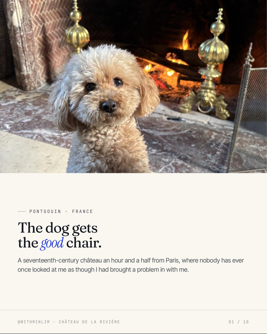 The dog gets the good chair